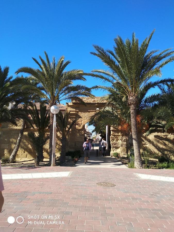 Residencial El Pinet Beach La Mariña Eksteriør bilde